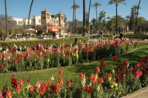 parque_maria_luisa_2